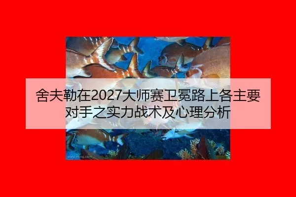 she-fu-lei-zai-da-shi-sai-wei-mian-lu-shang-ge-zhu-yao-dui-shou-zhi-shi-li-zhan-shu-ji-xin-li-fen-xi-3-932.jpg