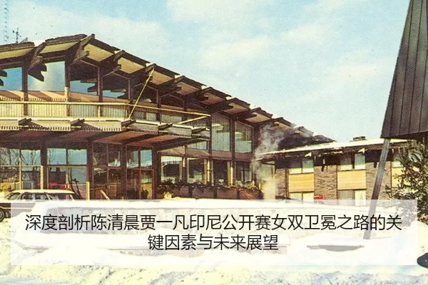 shen-du-pou-xi-chen-qing-chen-jia-yi-fan-yin-ni-gong-kai-sai-nv-shuang-wei-mian-zhi-lu-de-guan-jian-yin-su-yu-wei-lai-3-281.jpg